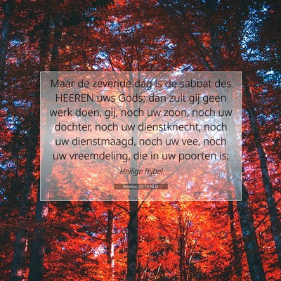 Picture 07 - Exodus 20:10 NLD - Maar de zevende dag is de sabbat des HEEREN uws - Bible Verse Picture