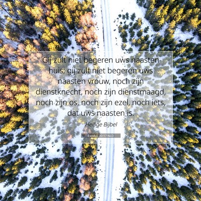 Picture 07 - Exodus 20:17 NLD - Gij zult niet begeren uws naasten huis; gij zult - Bible Verse Picture
