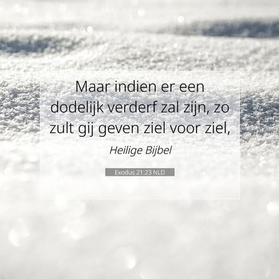 Picture 07 - Exodus 21:23 NLD - Maar indien er een dodelijk verderf zal zijn, zo - Bible Verse Picture