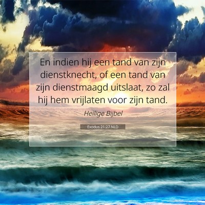 Picture 07 - Exodus 21:27 NLD - En indien hij een tand van zijn dienstknecht, of - Bible Verse Picture