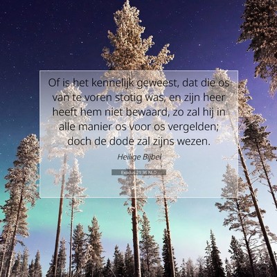Picture 07 - Exodus 21:36 NLD - Of is het kennelijk geweest, dat die os van te - Bible Verse Picture