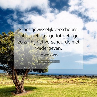 Picture 07 - Exodus 22:13 NLD - Is het gewisselijk verscheurd, dat hij het brenge - Bible Verse Picture