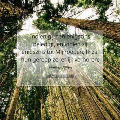 Picture 07 - Exodus 22:23 NLD - Indien gij hen enigszins beledigt, en indien zij - Bible Verse Picture