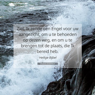 Picture 07 - Exodus 23:20 NLD - Ziet, Ik zende een Engel voor uw aangezicht, om u - Bible Verse Picture