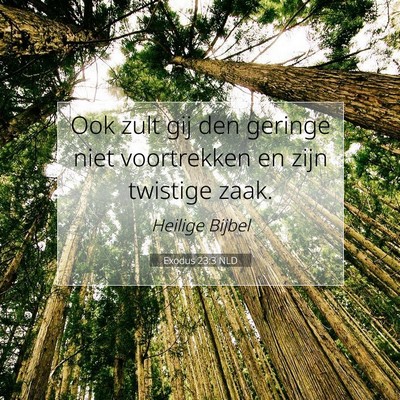 Picture 07 - Exodus 23:3 NLD - Ook zult gij den geringe niet voortrekken en zijn - Bible Verse Picture