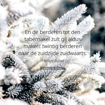 Picture 07 - Exodus 26:18 NLD - En de berderen tot den tabernakel zult gij aldus - Bible Verse Picture