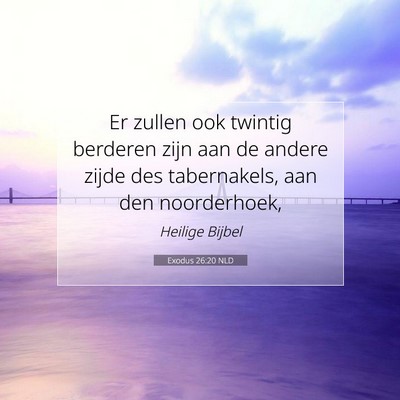 Picture 07 - Exodus 26:20 NLD - Er zullen ook twintig berderen zijn aan de andere - Bible Verse Picture