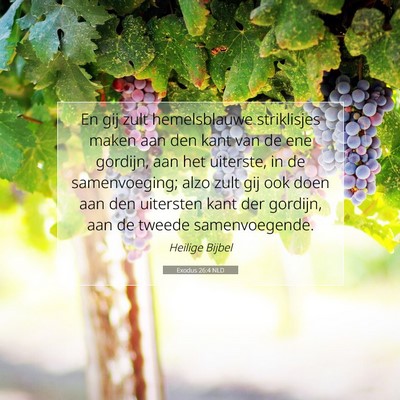 Picture 07 - Exodus 26:4 NLD - En gij zult hemelsblauwe striklisjes maken aan - Bible Verse Picture