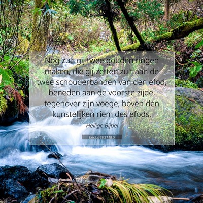 Picture 07 - Exodus 28:27 NLD - Nog zult gij twee gouden ringen maken, die gij - Bible Verse Picture