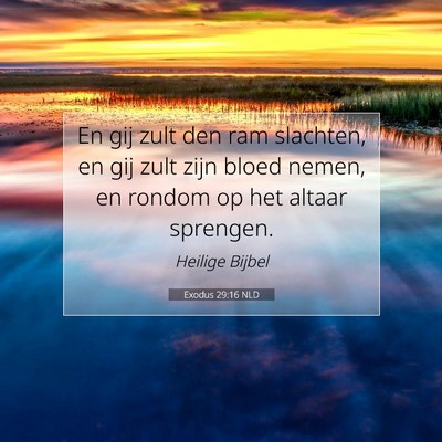 Picture 07 - Exodus 29:16 NLD - En gij zult den ram slachten, en gij zult zijn - Bible Verse Picture