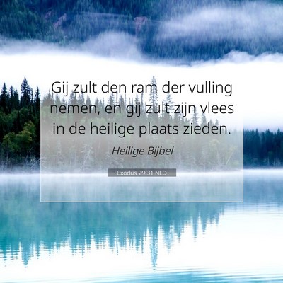 Picture 07 - Exodus 29:31 NLD - Gij zult den ram der vulling nemen, en gij zult - Bible Verse Picture