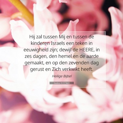 Picture 07 - Exodus 31:17 NLD - Hij zal tussen Mij en tussen de kinderen Israels - Bible Verse Picture