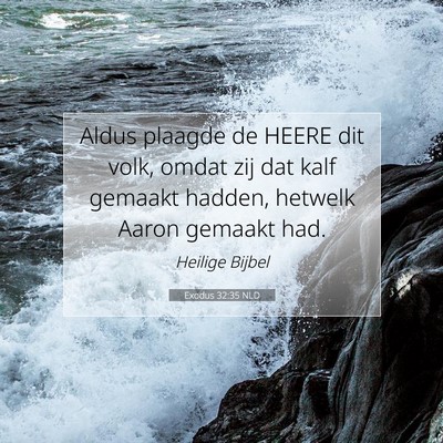 Picture 07 - Exodus 32:35 NLD - Aldus plaagde de HEERE dit volk, omdat zij dat - Bible Verse Picture