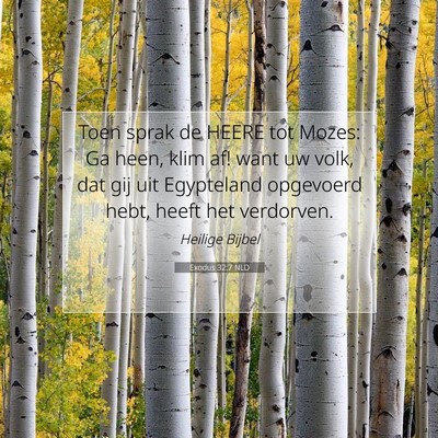 Picture 07 - Exodus 32:7 NLD - Toen sprak de HEERE tot Mozes: Ga heen, klim af! - Bible Verse Picture