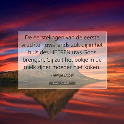 Picture 07 - Exodus 34:26 NLD - De eerstelingen van de eerste vruchten uws lands - Bible Verse Picture