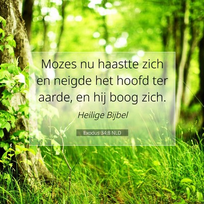 Picture 07 - Exodus 34:8 NLD - Mozes nu haastte zich en neigde het hoofd ter - Bible Verse Picture