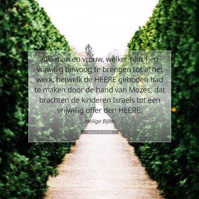 Picture 07 - Exodus 35:29 NLD - Alle man en vrouw, welker hart hen vrijwillig - Bible Verse Picture