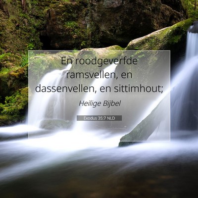 Picture 07 - Exodus 35:7 NLD - En roodgeverfde ramsvellen, en dassenvellen, en - Bible Verse Picture