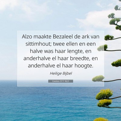 Picture 07 - Exodus 37:1 NLD - Alzo maakte Bezaleel de ark van sittimhout; twee - Bible Verse Picture