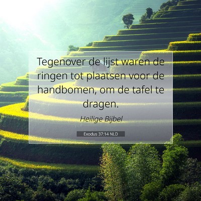 Picture 07 - Exodus 37:14 NLD - Tegenover de lijst waren de ringen tot plaatsen - Bible Verse Picture
