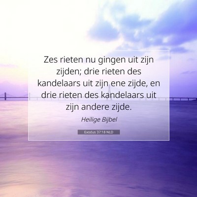 Picture 07 - Exodus 37:18 NLD - Zes rieten nu gingen uit zijn zijden; drie rieten - Bible Verse Picture