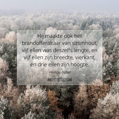 Picture 07 - Exodus 38:1 NLD - Hij maakte ook het brandofferaltaar van - Bible Verse Picture