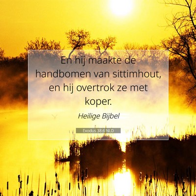 Picture 07 - Exodus 38:6 NLD - En hij maakte de handbomen van sittimhout, en hij - Bible Verse Picture