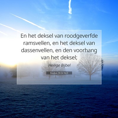 Picture 07 - Exodus 39:34 NLD - En het deksel van roodgeverfde ramsvellen, en het - Bible Verse Picture