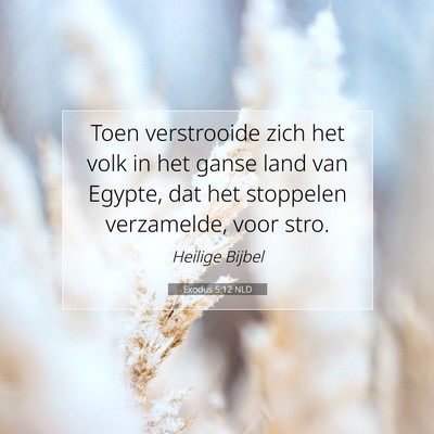 Picture 07 - Exodus 5:12 NLD - Toen verstrooide zich het volk in het ganse land - Bible Verse Picture