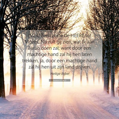Picture 07 - Exodus 6:1 NLD - (5:24) Toen zeide de HEERE tot Mozes: Nu zult gij - Bible Verse Picture