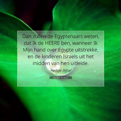 Picture 07 - Exodus 7:5 NLD - Dan zullen de Egyptenaars weten, dat Ik de HEERE - Bible Verse Picture