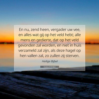 Picture 07 - Exodus 9:19 NLD - En nu, zend heen, vergader uw vee, en alles wat - Bible Verse Picture