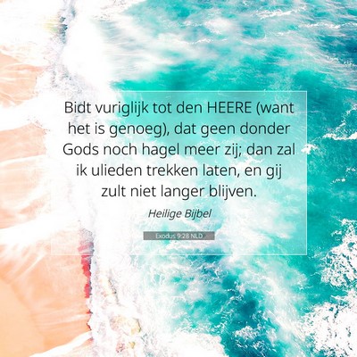 Picture 07 - Exodus 9:28 NLD - Bidt vuriglijk tot den HEERE (want het is - Bible Verse Picture