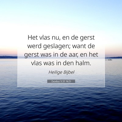 Picture 07 - Exodus 9:31 NLD - Het vlas nu, en de gerst werd geslagen; want de - Bible Verse Picture