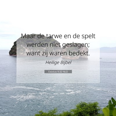 Picture 07 - Exodus 9:32 NLD - Maar de tarwe en de spelt werden niet geslagen; - Bible Verse Picture