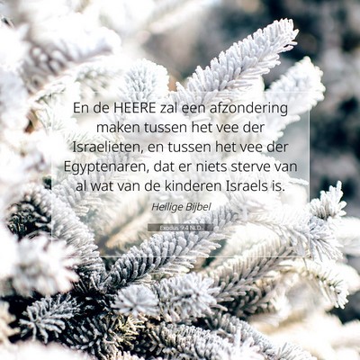 Picture 07 - Exodus 9:4 NLD - En de HEERE zal een afzondering maken tussen het - Bible Verse Picture