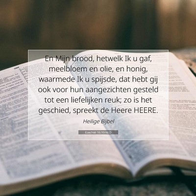 Picture 07 - Ezechiël 16:19 NLD - En Mijn brood, hetwelk Ik u gaf, meelbloem en - Bible Verse Picture