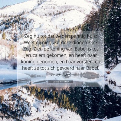 Picture 07 - Ezechiël 17:12 NLD - Zeg nu tot dat wederspannig huis: Weet gij niet, - Bible Verse Picture
