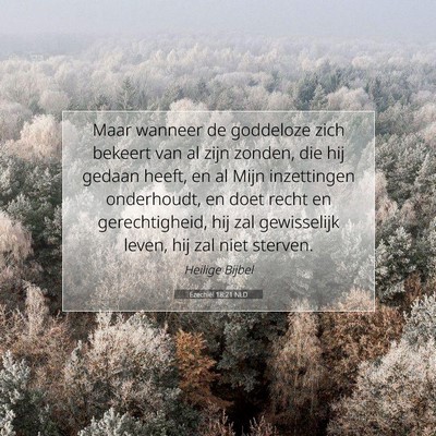 Picture 07 - Ezechiël 18:21 NLD - Maar wanneer de goddeloze zich bekeert van al - Bible Verse Picture