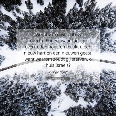 Picture 07 - Ezechiël 18:31 NLD - Werpt van u weg al uw overtredingen, waardoor gij - Bible Verse Picture