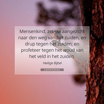 Picture 07 - Ezechiël 20:46 NLD - Mensenkind, zet uw aangezicht naar den weg van - Bible Verse Picture
