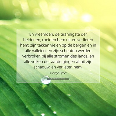 Picture 07 - Ezechiël 31:12 NLD - En vreemden, de tirannigste der heidenen, roeiden - Bible Verse Picture