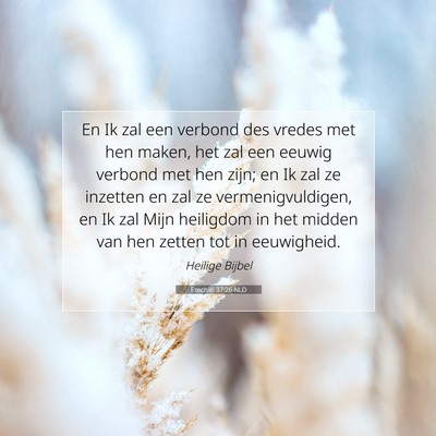 Picture 07 - Ezechiël 37:26 NLD - En Ik zal een verbond des vredes met hen maken, - Bible Verse Picture