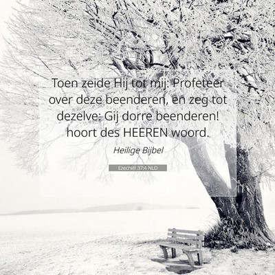 Picture 07 - Ezechiël 37:4 NLD - Toen zeide Hij tot mij: Profeteer over deze - Bible Verse Picture