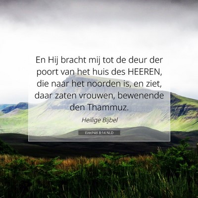 Picture 07 - Ezechiël 8:14 NLD - En Hij bracht mij tot de deur der poort van het - Bible Verse Picture