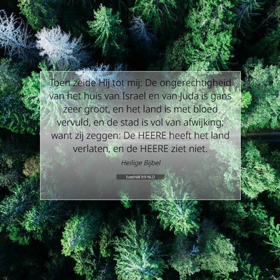 Picture 07 - Ezechiël 9:9 NLD - Toen zeide Hij tot mij: De ongerechtigheid van - Bible Verse Picture
