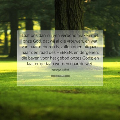 Picture 07 - Ezra 10:3 NLD - Laat ons dan nu een verbond maken met onze God, - Bible Verse Picture