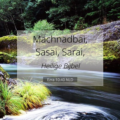 Picture 07 - Ezra 10:40 NLD - Machnadbai, Sasai, - Bible Verse Picture