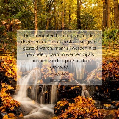 Picture 07 - Ezra 2:62 NLD - Dezen zochten hun register, onder degenen, die in - Bible Verse Picture