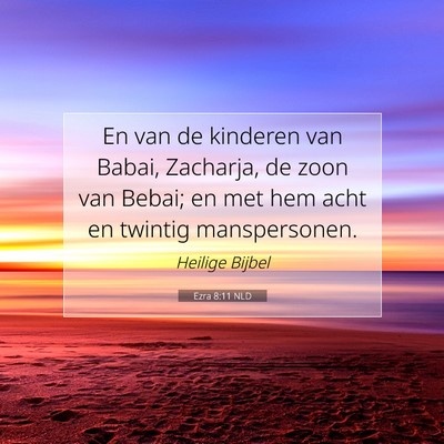 Picture 07 - Ezra 8:11 NLD - En van de kinderen van Babai, Zacharja, de zoon - Bible Verse Picture